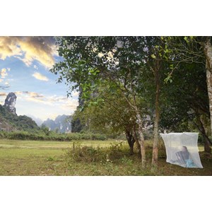 Moustiquaire cabin 1 imprégnée