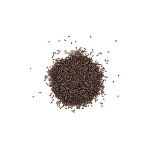 Psyllium bio noir - transit intestinal