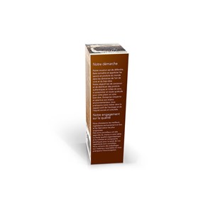 Psyllium bio noir - transit intestinal