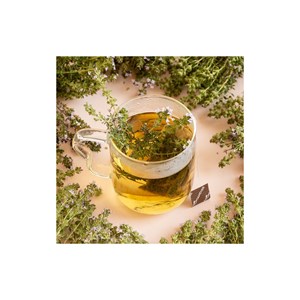 Tisane thym sauvage bio des garrigues