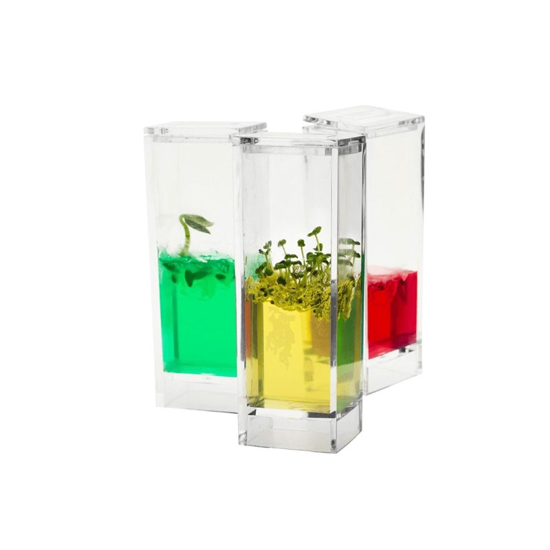 Taos - Kit plantarium