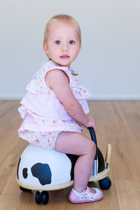 Trotteur/porteur wheely bug vache 1 à 3