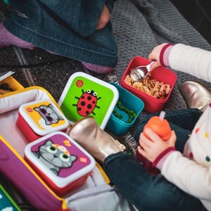 Lot de 4 boites gigognes bluebell tumtum