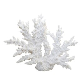 Corail blanc décoratif