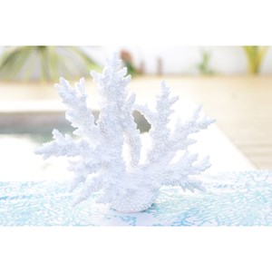 Corail blanc décoratif