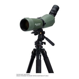Regal m2 65ed