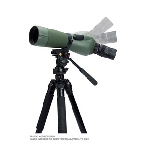 Regal m2 65ed