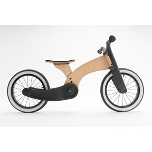 Draisienne wishbone bike cruise