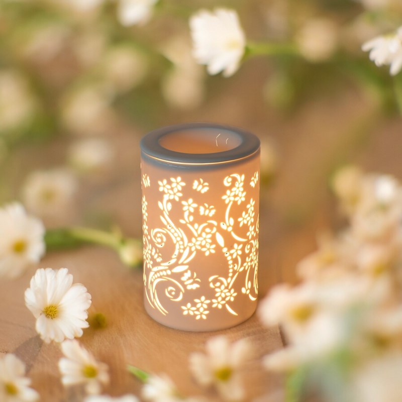 Diffuseur par chaleur douce calorya n° 1