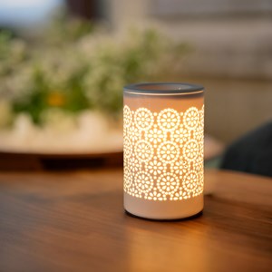 Diffuseur par chaleur douce calorya n°4