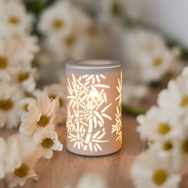 Diffuseur par chaleur douce calorya n°5