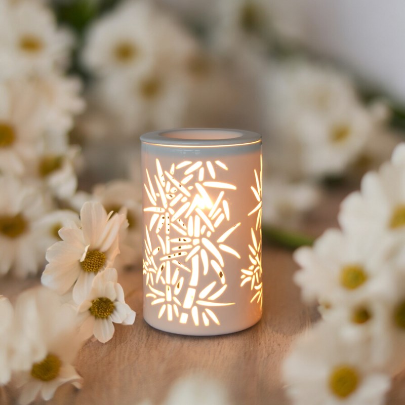 Diffuseur par chaleur douce calorya n°5