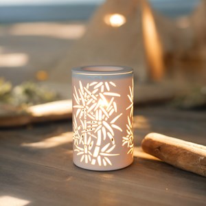 Diffuseur par chaleur douce calorya n°5