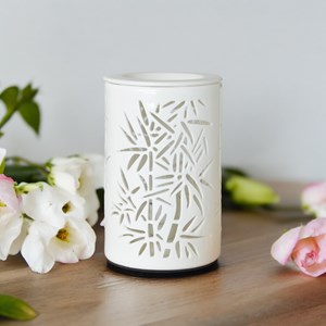 Diffuseur par chaleur douce calorya n°5