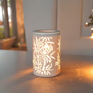 Diffuseur par chaleur douce calorya n°5