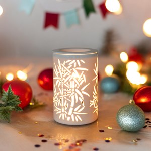 Diffuseur par chaleur douce calorya n°5