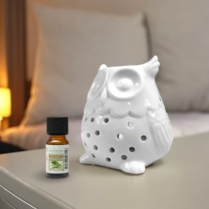 Brûle parfum hibou