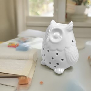 Brûle parfum hibou