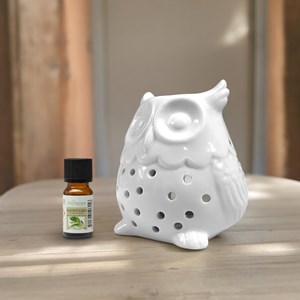 Brûle parfum hibou