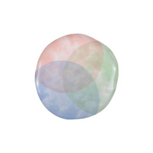 Assiette à dessert tricolore-paradise - lot de 6