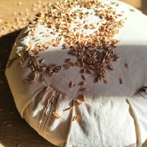 Coussin de méditation  zafu sajou