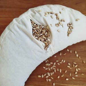 Fuzen coussin demi lune ginkgo