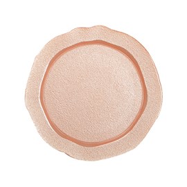 Assiette plate saumon