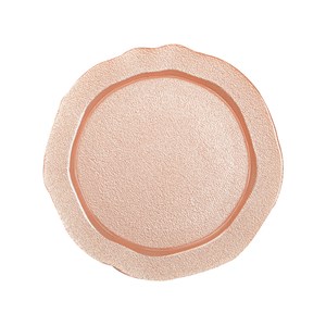 Assiette plate saumon - lot de 6