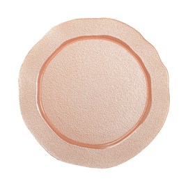 Assiette de présentation saumon