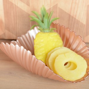 Coupe décorative saumon 30x16cm