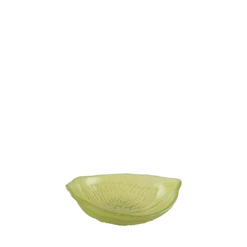 Bol à soupe vert - citron