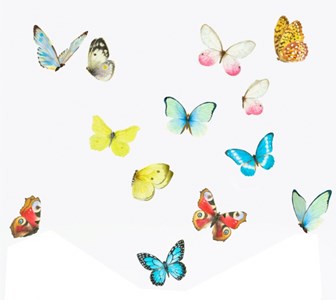 Stickers papillons aquarelle