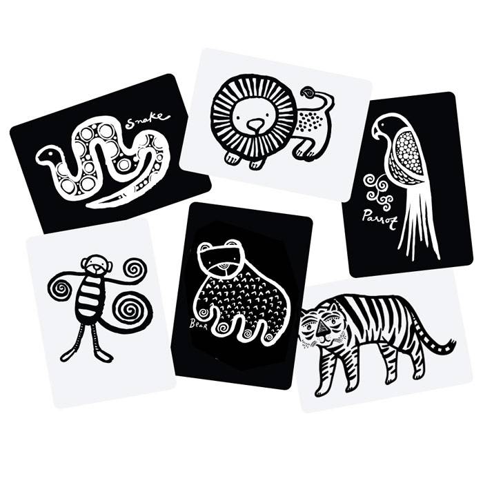 Cartes Imagier Animaux Jungle Nature Decouvertes