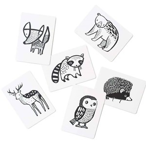 Cartes imagier animaux - animaux forêt