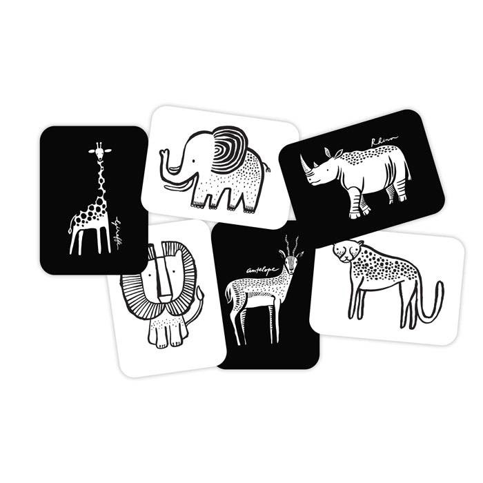 Cartes imagier animaux - safari (WEE GALLERY) - Image 3