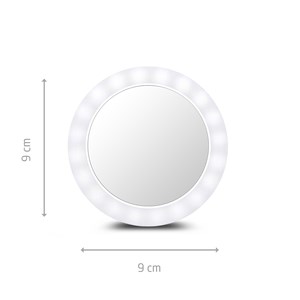 Miroir de courtoisie