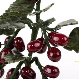 Arbre à raisins de protection