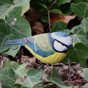 Mesange bleue oiseau en bois
