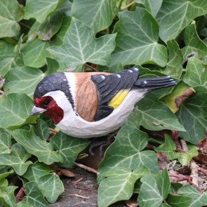 Chardonneret oiseau en bois
