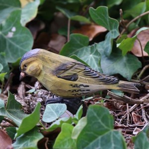 Tarin des aulnes oiseau en bois grandeur
