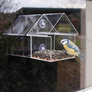 Mangeoire de fenêtre pour oiseaux sauvag