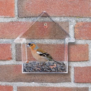 Mangeoire de fenêtre pour oiseaux sauvag