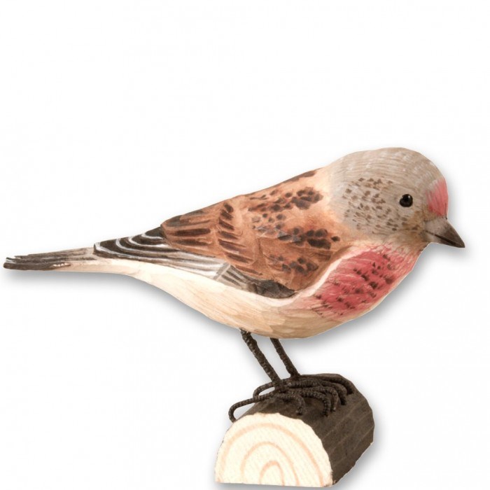 Linotte mélodieuse oiseau en bois