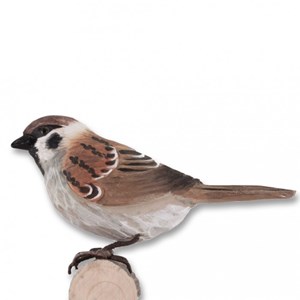 Moineau oiseau en bois