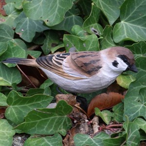 Moineau oiseau en bois