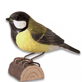 Mesange charbonniere oiseau bois