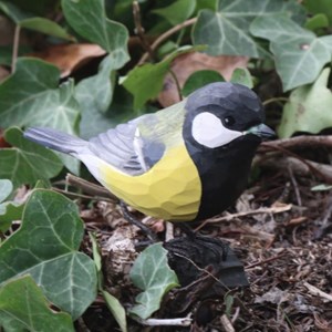 Mesange charbonniere oiseau bois