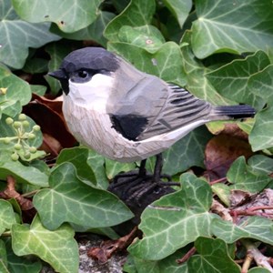 Mesange nonnette oiseau en bois