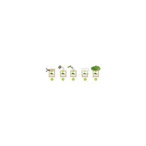 Kit bio prêt à pousser basilic