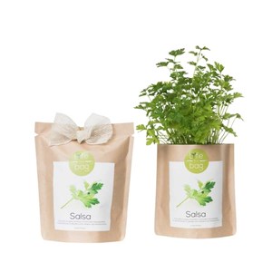 Kit bio prêt à pousser persil